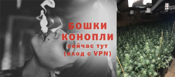 индика Белокуриха