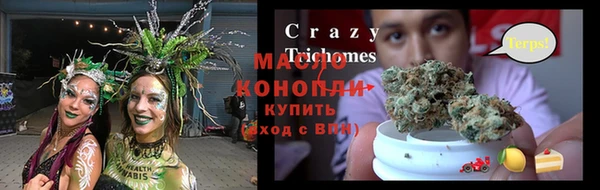 индика Белокуриха