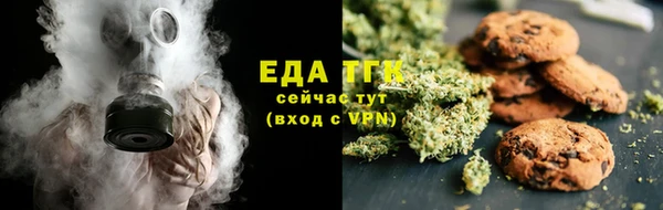 индика Белокуриха