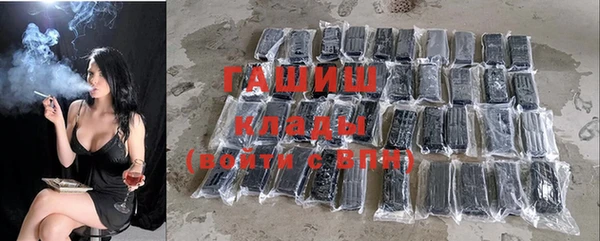 индика Белокуриха