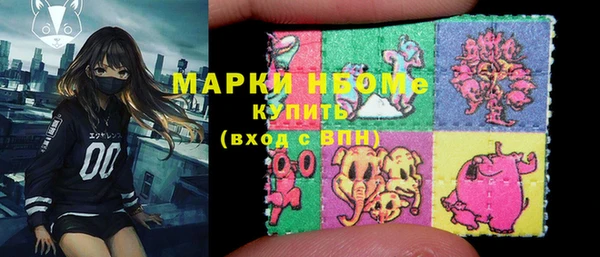 индика Белокуриха