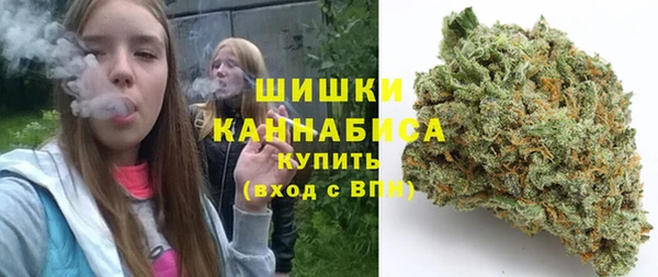индика Белокуриха