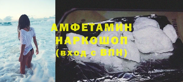 индика Белокуриха