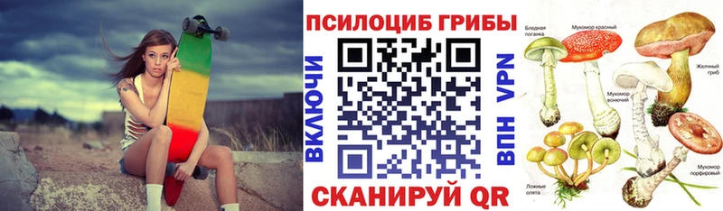 Псилоцибиновые грибы ЛСД  закладки  Павловск 